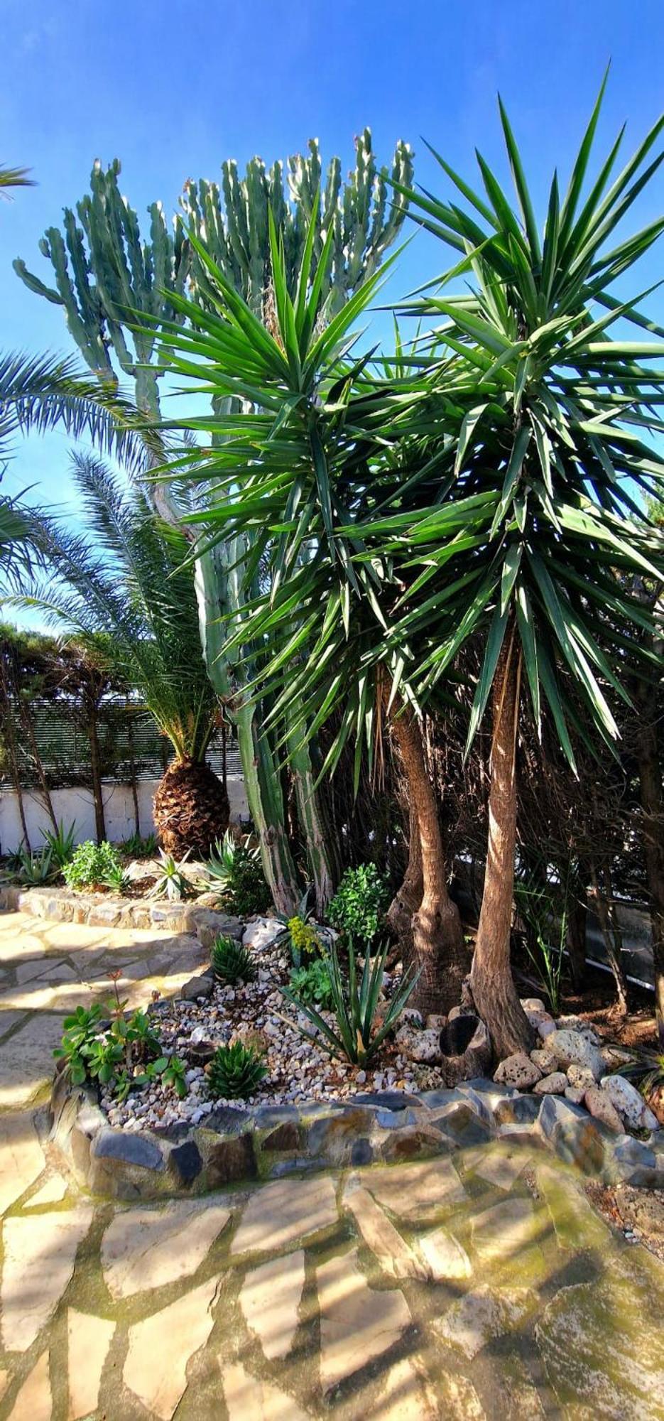 Casa Buganvilla L'Ametlla de Mar Eksteriør bilde